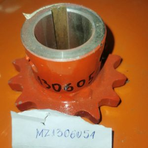MZ1306051